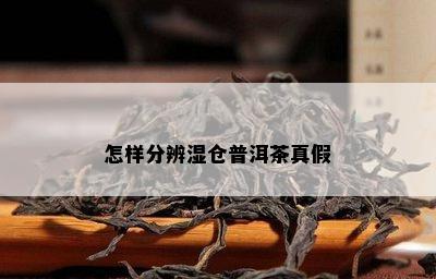 怎样分辨湿仓普洱茶真假