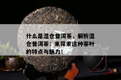 什么是湿仓普洱茶，解析湿仓普洱茶：来探索这种茶叶的特点与魅力！