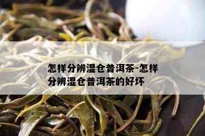 怎样分辨湿仓普洱茶-怎样分辨湿仓普洱茶的好坏