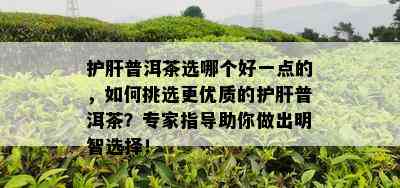 护肝普洱茶选哪个好一点的，如何挑选更优质的护肝普洱茶？专家指导助你做出明智选择！