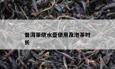 普洱茶烧水壶使用及泡茶时长