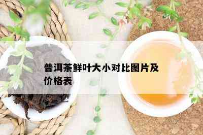 普洱茶鲜叶大小对比图片及价格表