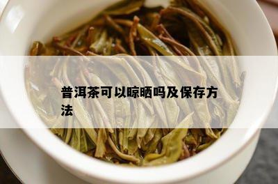 普洱茶可以晾晒吗及保存方法