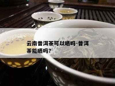 云南普洱茶可以晒吗-普洱茶能晒吗?