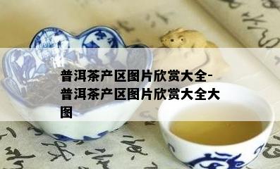 普洱茶产区图片欣赏大全-普洱茶产区图片欣赏大全大图