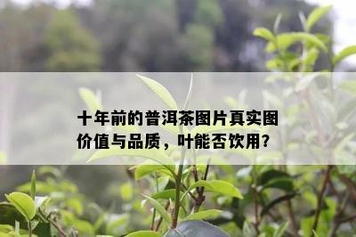 十年前的普洱茶图片真实图价值与品质，叶能否饮用？