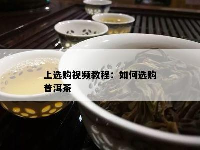 上选购视频教程：如何选购普洱茶