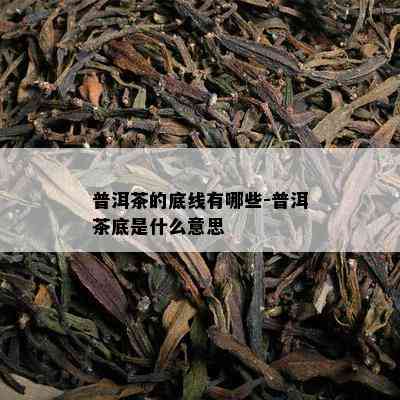 普洱茶的底线有哪些-普洱茶底是什么意思