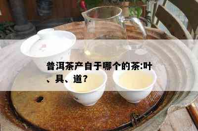 普洱茶产自于哪个的茶:叶、具、道?