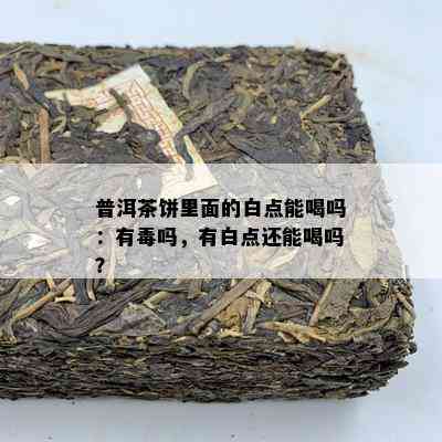 普洱茶饼里面的白点能喝吗：有吗，有白点还能喝吗？