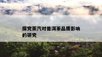 探究蒸汽对普洱茶品质影响的研究