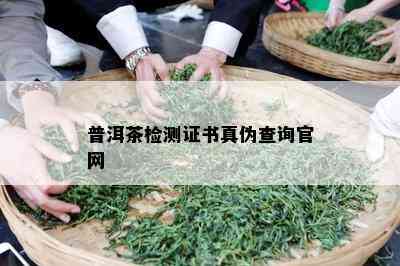 普洱茶检测证书真伪查询官网