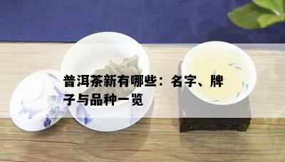 普洱茶新有哪些：名字、牌子与品种一览