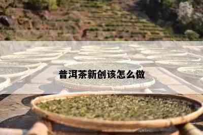 普洱茶新创该怎么做