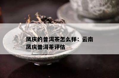 凤庆的普洱茶怎么样：云南凤庆普洱茶评估