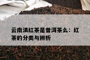 云南滇红茶是普洱茶么：红茶的分类与辨析