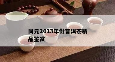 同元2013年份普洱茶精品鉴赏