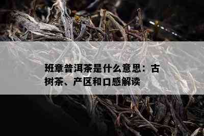 班章普洱茶是什么意思：古树茶、产区和口感解读