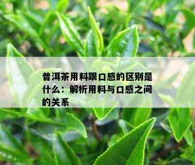 普洱茶用料跟口感的区别是什么：解析用料与口感之间的关系