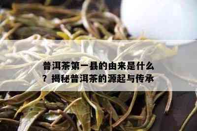 普洱茶之一县的由来是什么？揭秘普洱茶的源起与传承