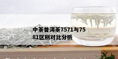 中茶普洱茶7571与7581区别对比分析