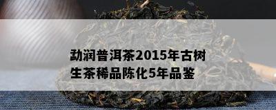 勐润普洱茶2015年古树生茶稀品陈化5年品鉴