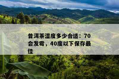 普洱茶湿度多少合适：70会发霉，40度以下保存更佳