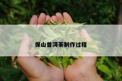 保山普洱茶制作过程