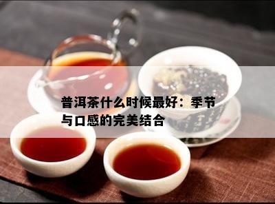 普洱茶什么时候更好：季节与口感的完美结合