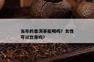 当年的普洱茶能喝吗？女性可以饮用吗？