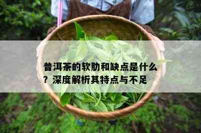 普洱茶的软肋和缺点是什么？深度解析其特点与不足