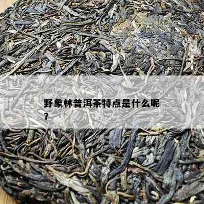 野象林普洱茶特点是什么呢？