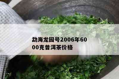 勐海龙园号2006年6000克普洱茶价格