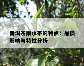 普洱茶雨水茶的特点：品质影响与特性分析