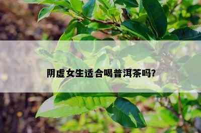 阴虚女生适合喝普洱茶吗？