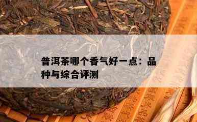 普洱茶哪个香气好一点：品种与综合评测