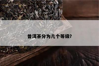 普洱茶分为几个等级？