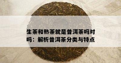 生茶和熟茶就是普洱茶吗对吗：解析普洱茶分类与特点