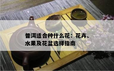 普洱适合种什么花：花卉、水果及花盆选择指南