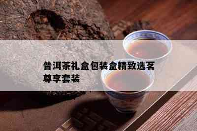 普洱茶礼盒包装盒精致选茗尊享套装