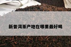 新普洱茶产地在哪里更好喝