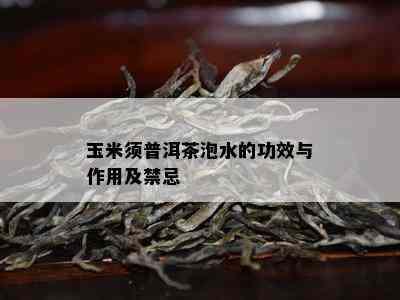 玉米须普洱茶泡水的功效与作用及禁忌