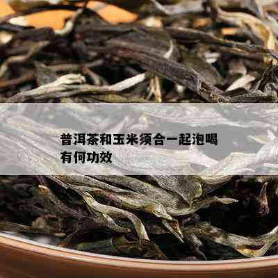 普洱茶和玉米须合一起泡喝有何功效