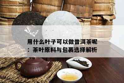 用什么叶子可以做普洱茶呢：茶叶原料与包裹选择解析