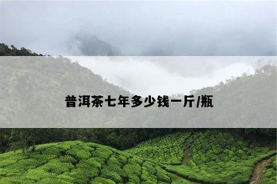 普洱茶七年多少钱一斤/瓶