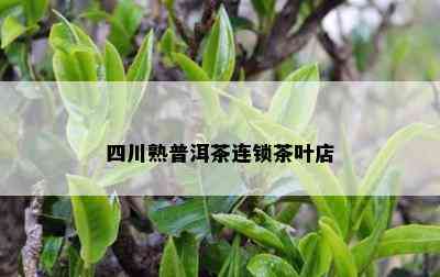 四川熟普洱茶连锁茶叶店