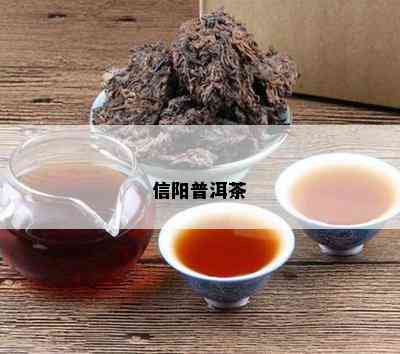 信阳普洱茶