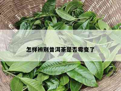 怎样辨别普洱茶是否霉变了