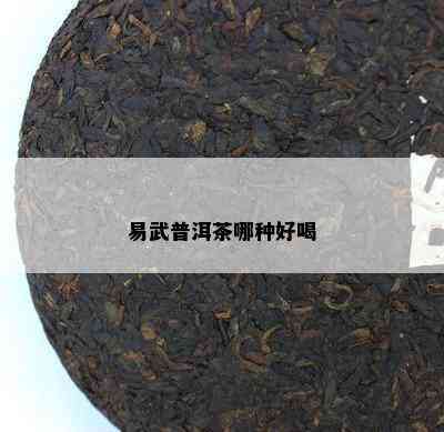 易武普洱茶哪种好喝