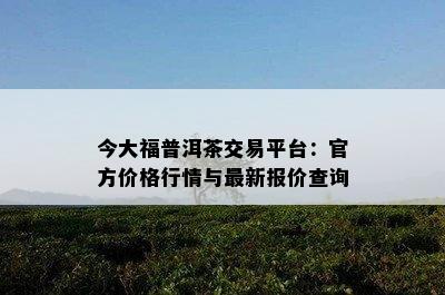 今大福普洱茶交易平台：官方价格行情与最新报价查询